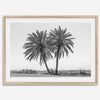 Black and white fine art print of two palm trees in a minimalist desert landscape with clear sky.