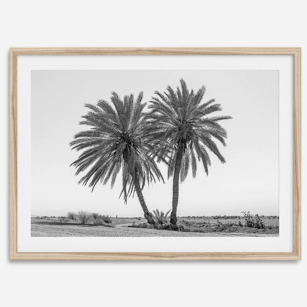 Palm Power