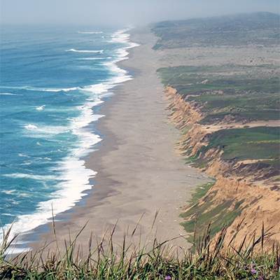 Point-Reyes-Photography-Wall-Art-Prints-Collection