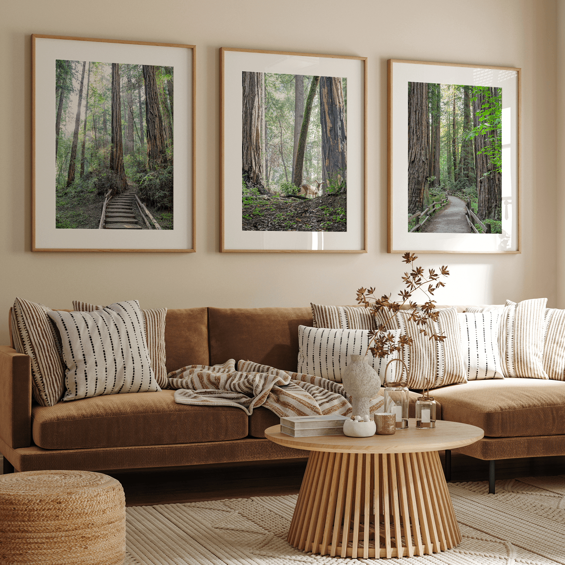 A fine art forest set of 3 prints showcasing different forest scenarios, including a path through a vast Redwood forest, a deer walking among the redwood, and a stairway path through the forest.