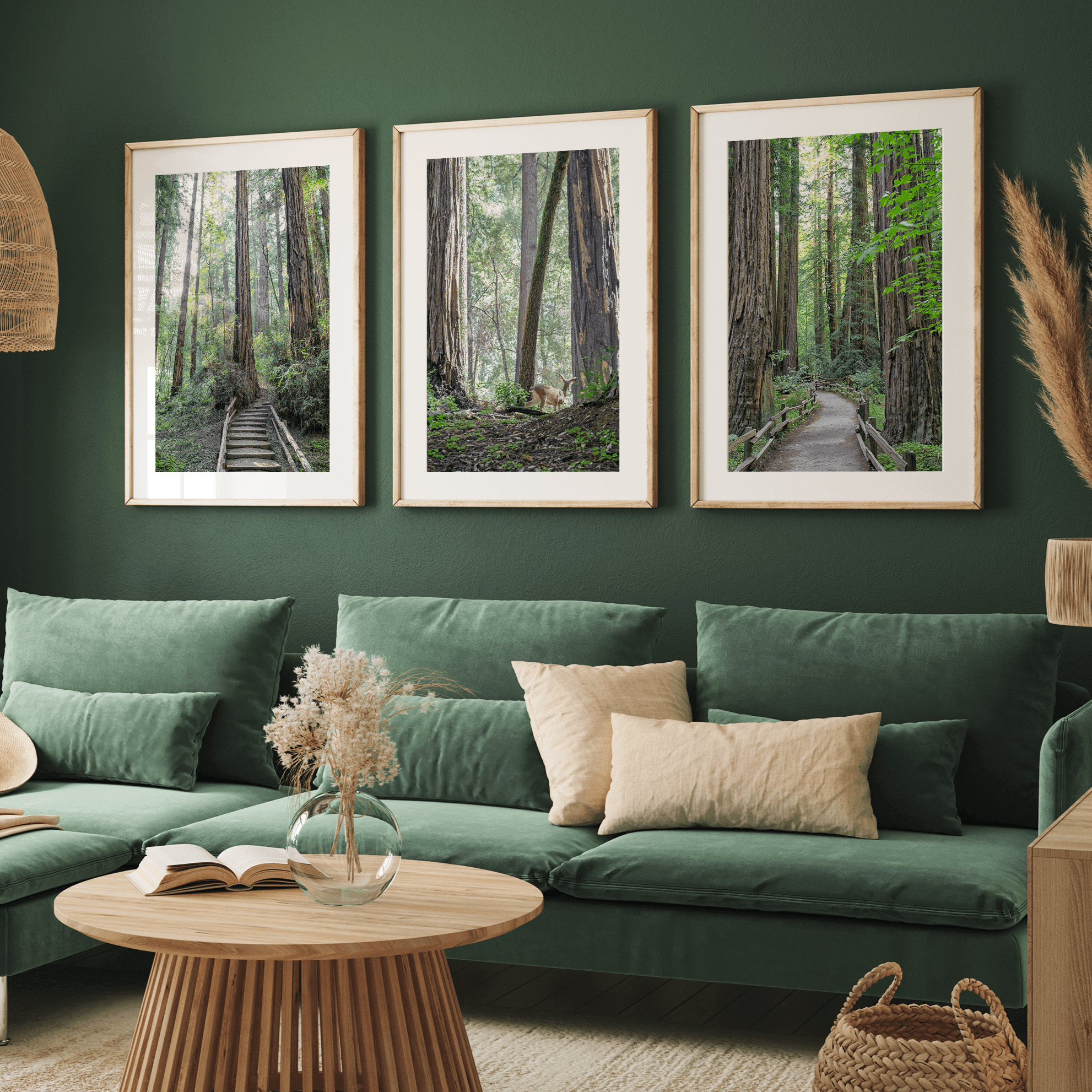 A fine art forest set of 3 prints showcasing different forest scenarios, including a path through a vast Redwood forest, a deer walking among the redwood, and a stairway path through the forest.