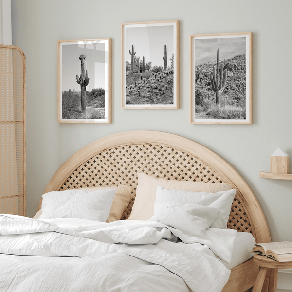 Saguaro Set - Wow Photo Art