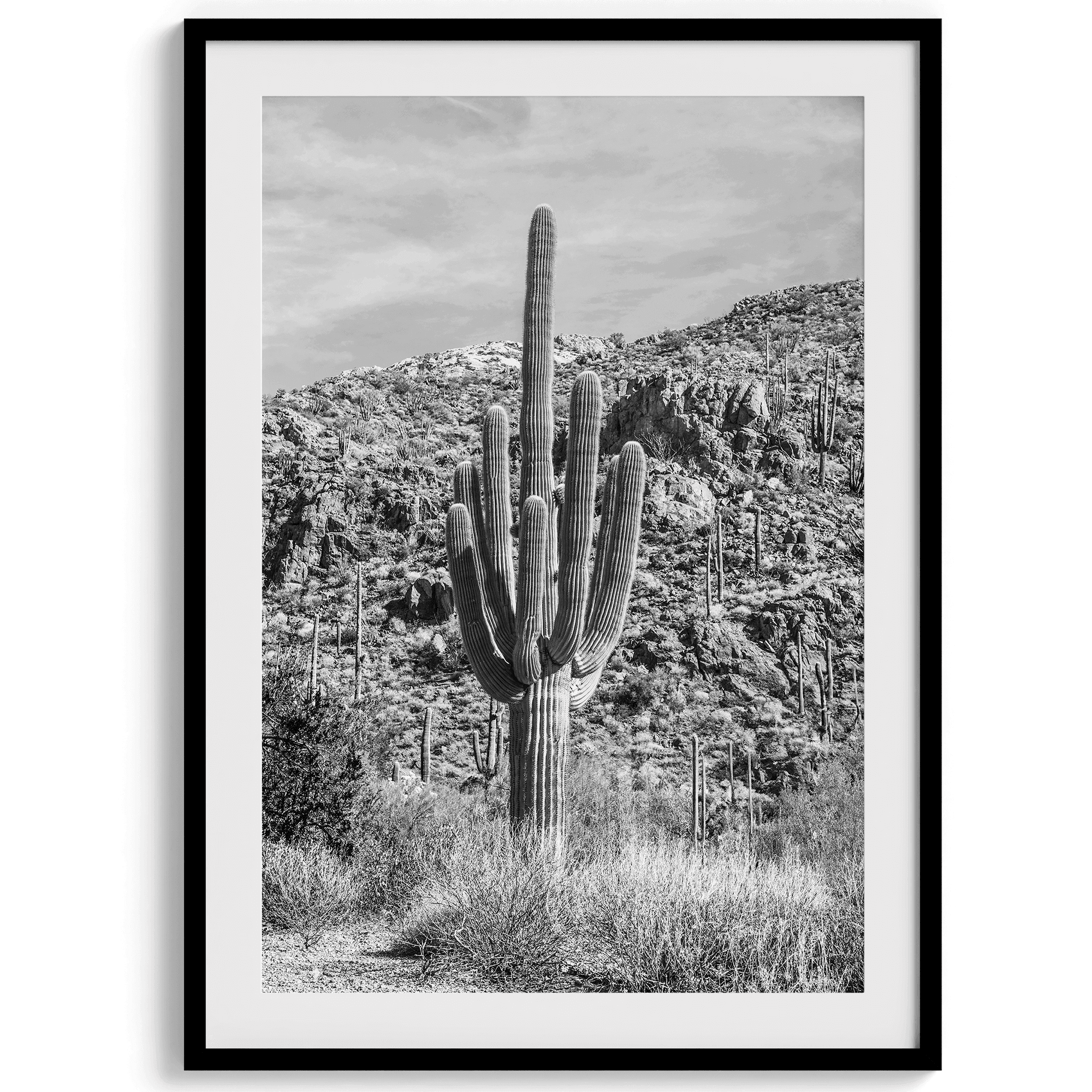 Saguaro Set - Wow Photo Art