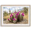 Saguaro Cactus - Wow Photo Art