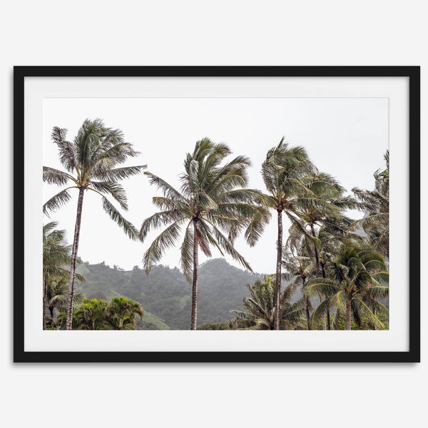 Palms Serenity