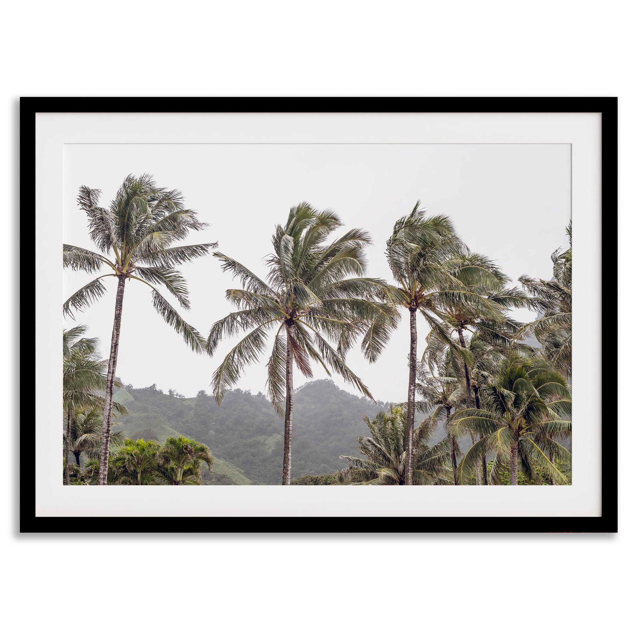 Tropical beach palm tree art with lush green palms against a misty hillside in coastal landscape