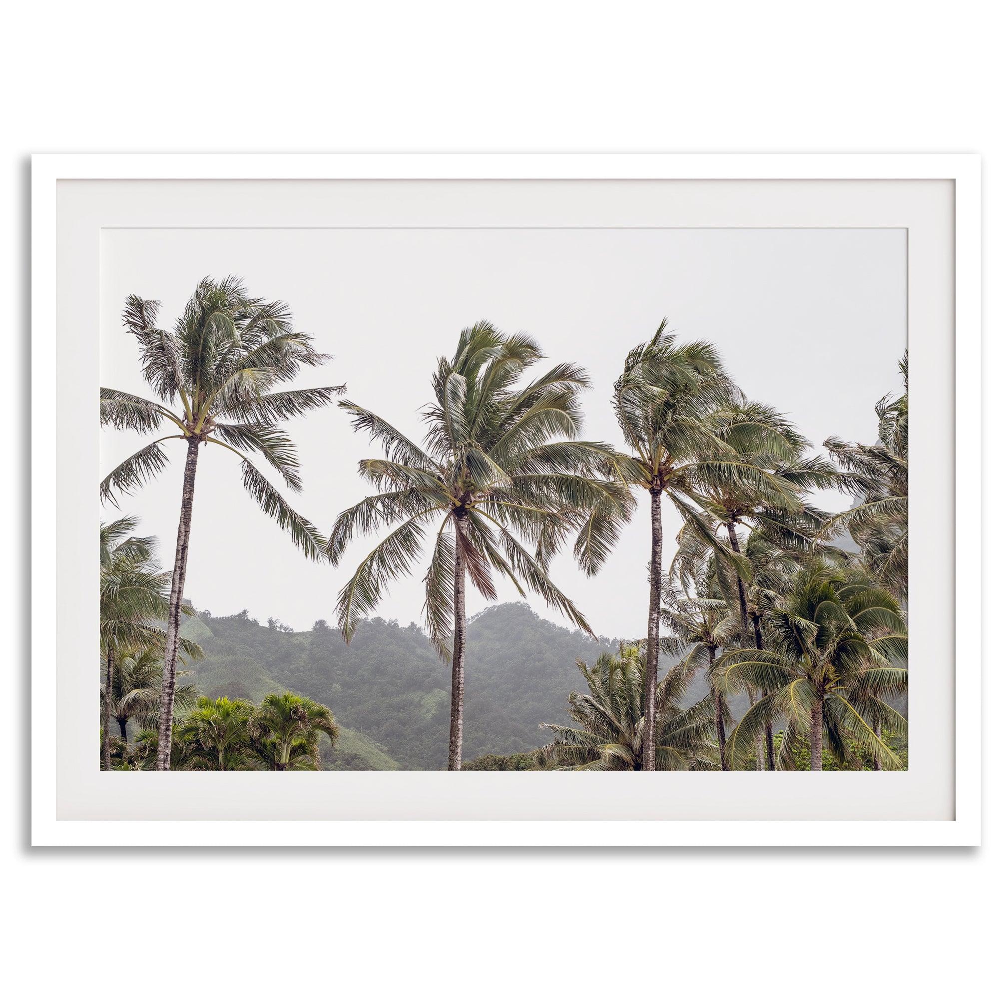 Tropical beach palm tree art with lush green palms against a misty hillside in coastal landscape