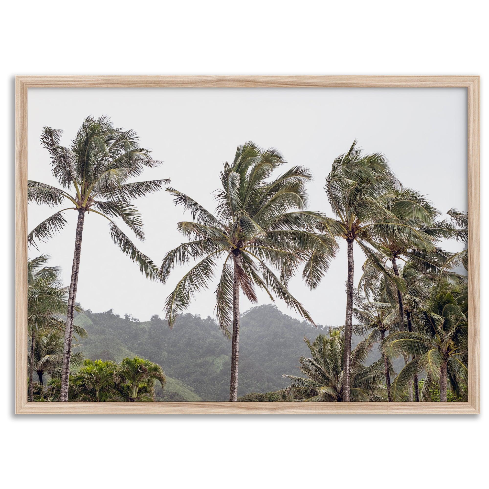 Tropical beach palm tree art with lush green palms against a misty hillside in coastal landscape