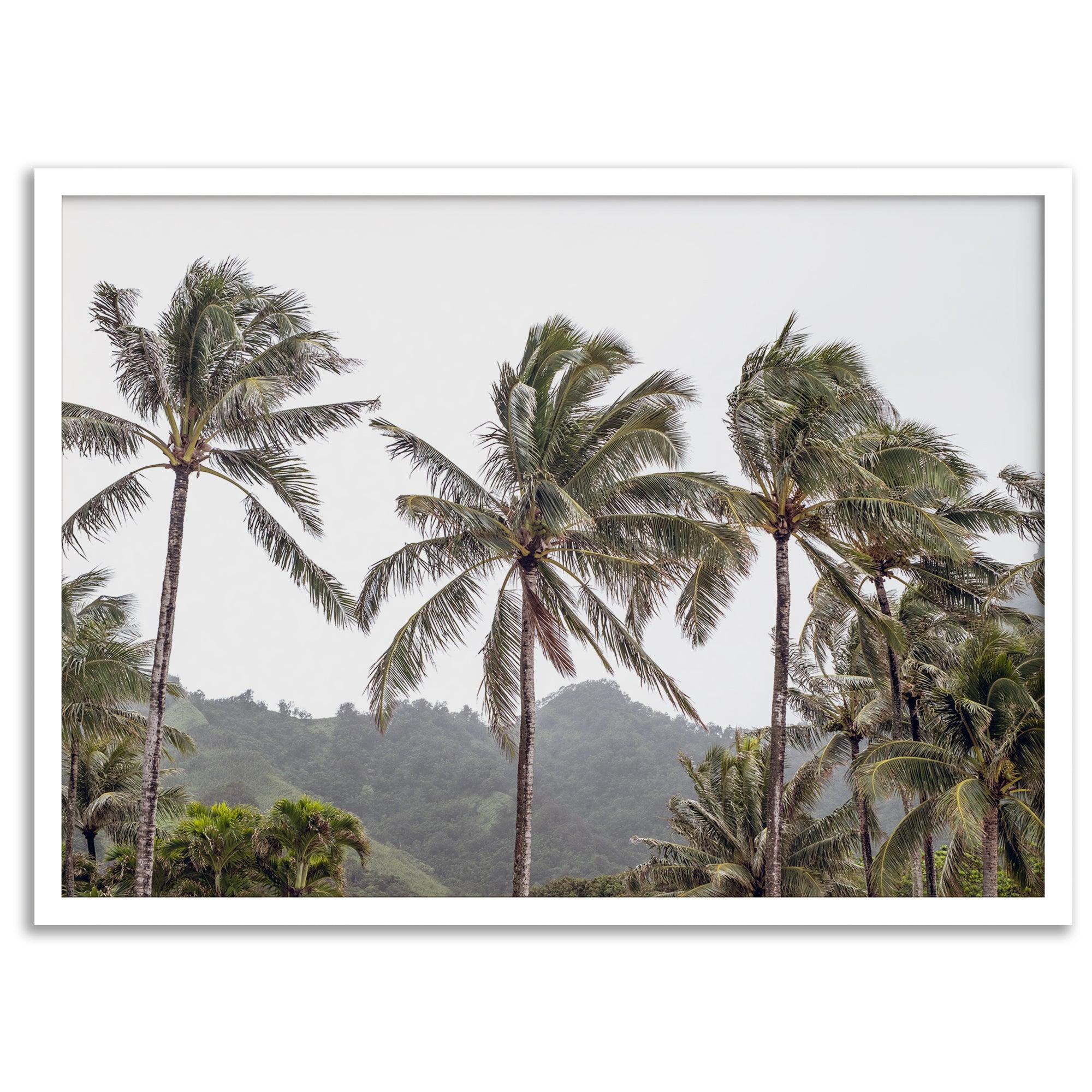 Tropical beach palm tree art with lush green palms against a misty hillside in coastal landscape