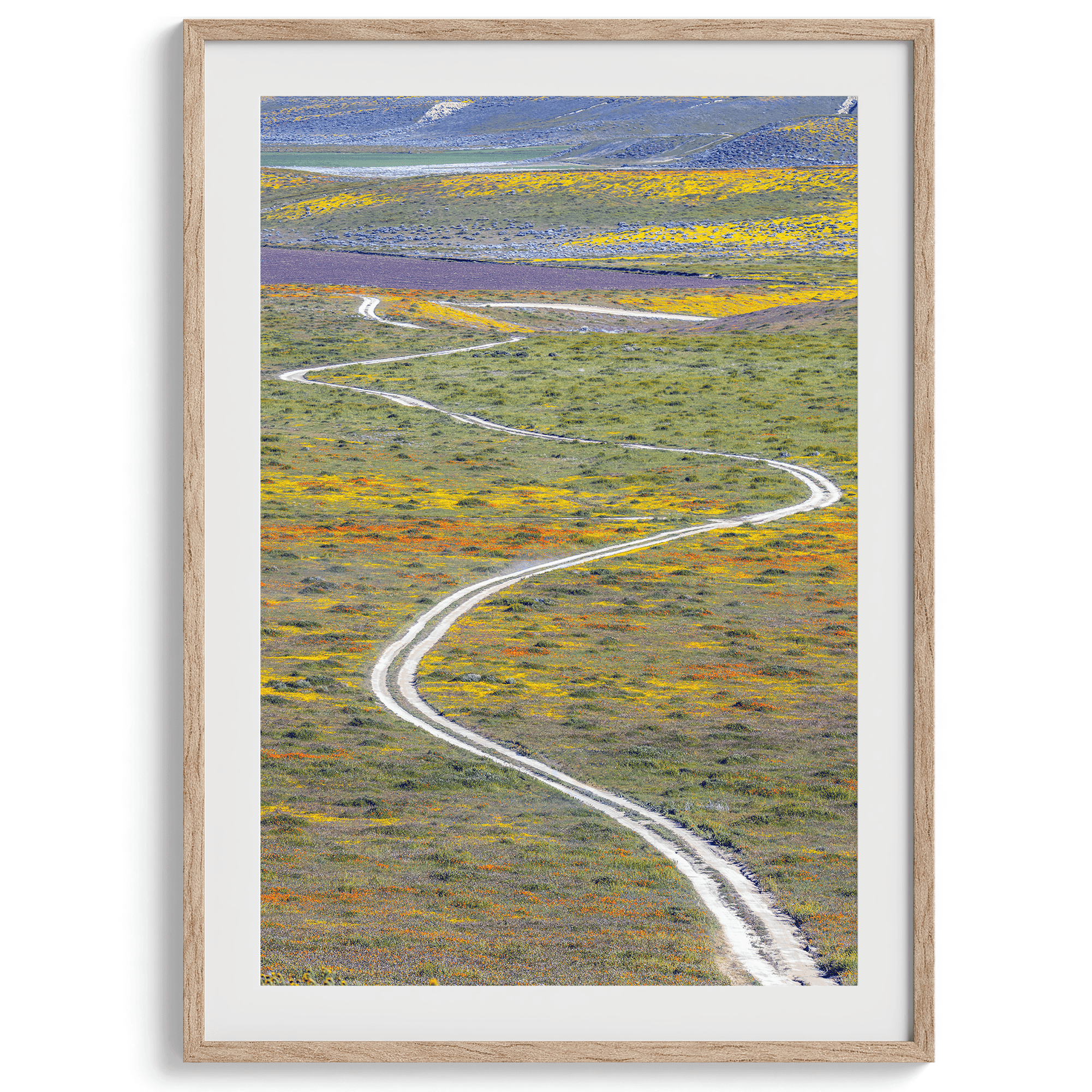 Vertical, fine art photography print of a winding road disappearing into a valley filled with colorful wildflowers in Antelope Valley, California.