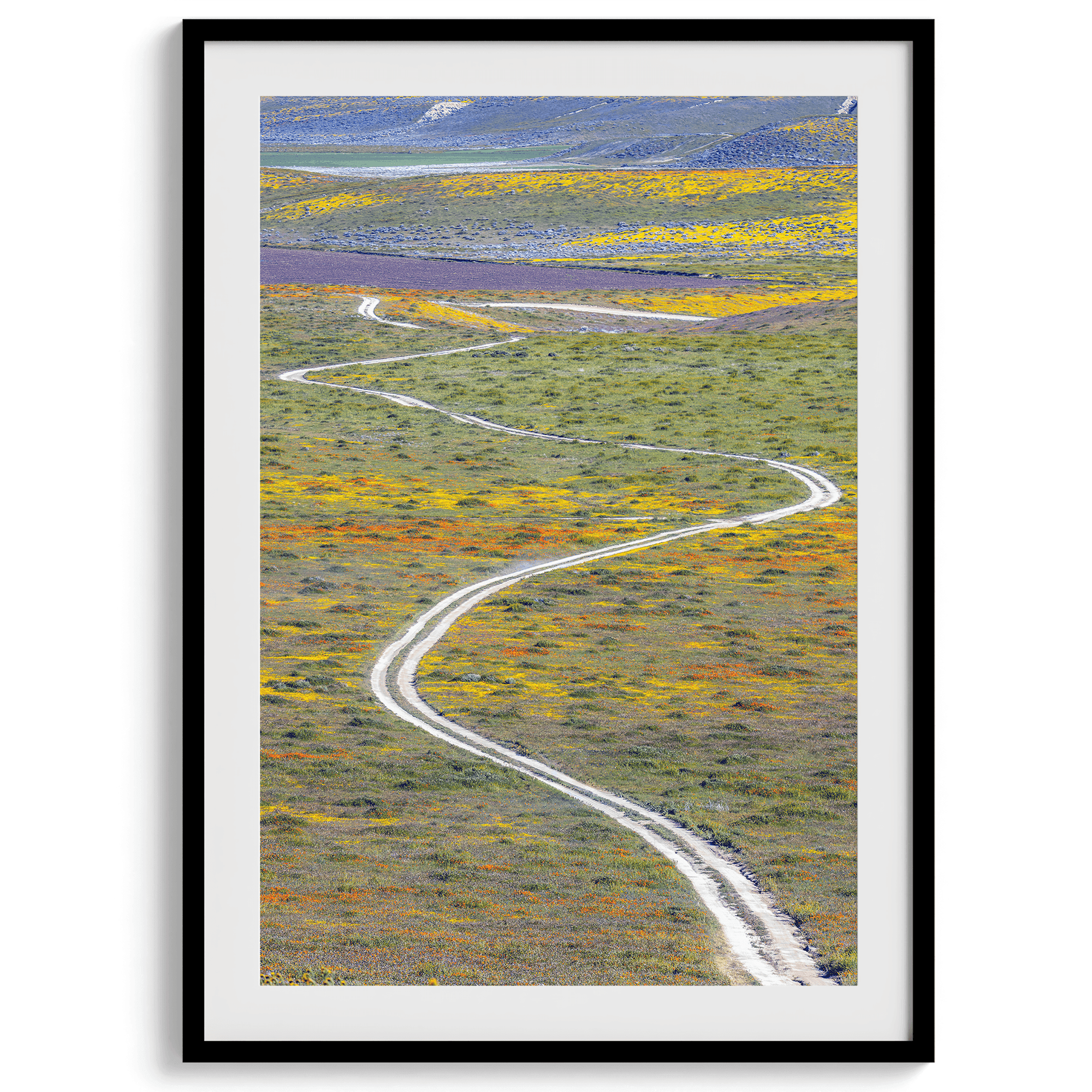 Vertical, fine art photography print of a winding road disappearing into a valley filled with colorful wildflowers in Antelope Valley, California.