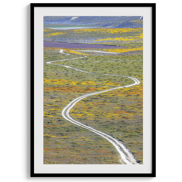 Vertical, fine art photography print of a winding road disappearing into a valley filled with colorful wildflowers in Antelope Valley, California.