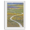 Vertical, fine art photography print of a winding road disappearing into a valley filled with colorful wildflowers in Antelope Valley, California.