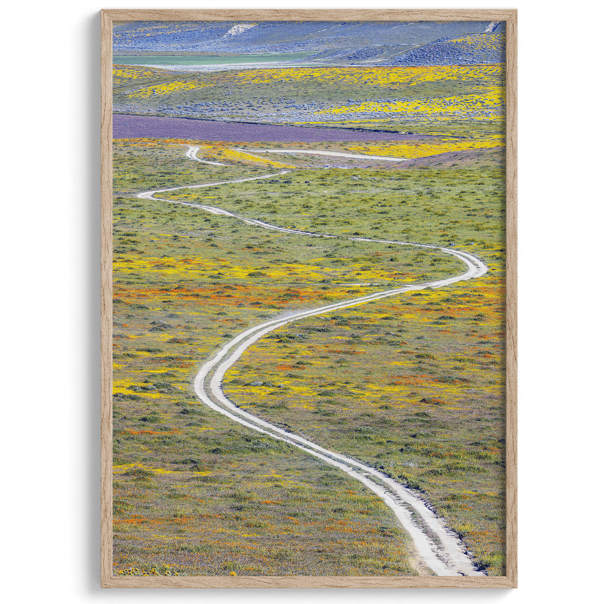 Vertical, fine art photography print of a winding road disappearing into a valley filled with colorful wildflowers in Antelope Valley, California.