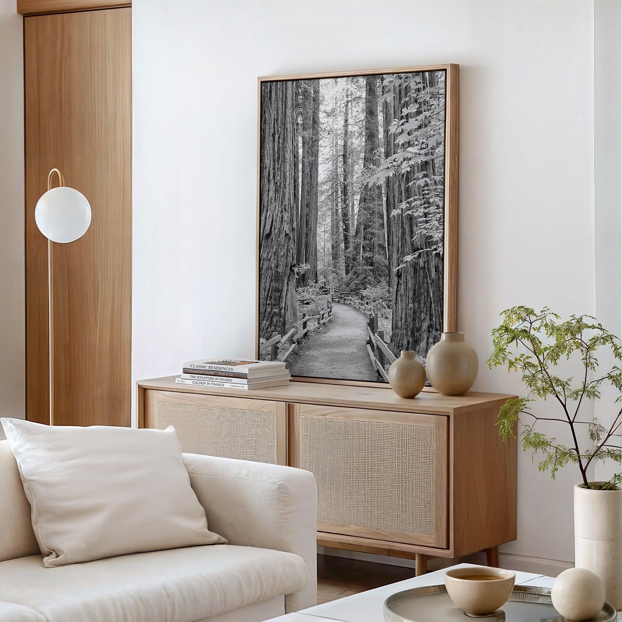 Black and white large forest canvas wall art depicting a California redwood pathway, with towering trees in Muir Woods.