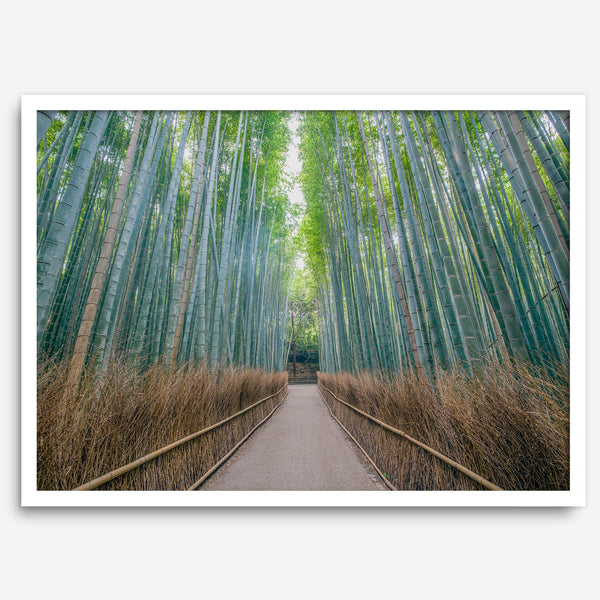Bamboo Forest Photo wall art featuring misty path in Kyoto’s Arashiyama grove