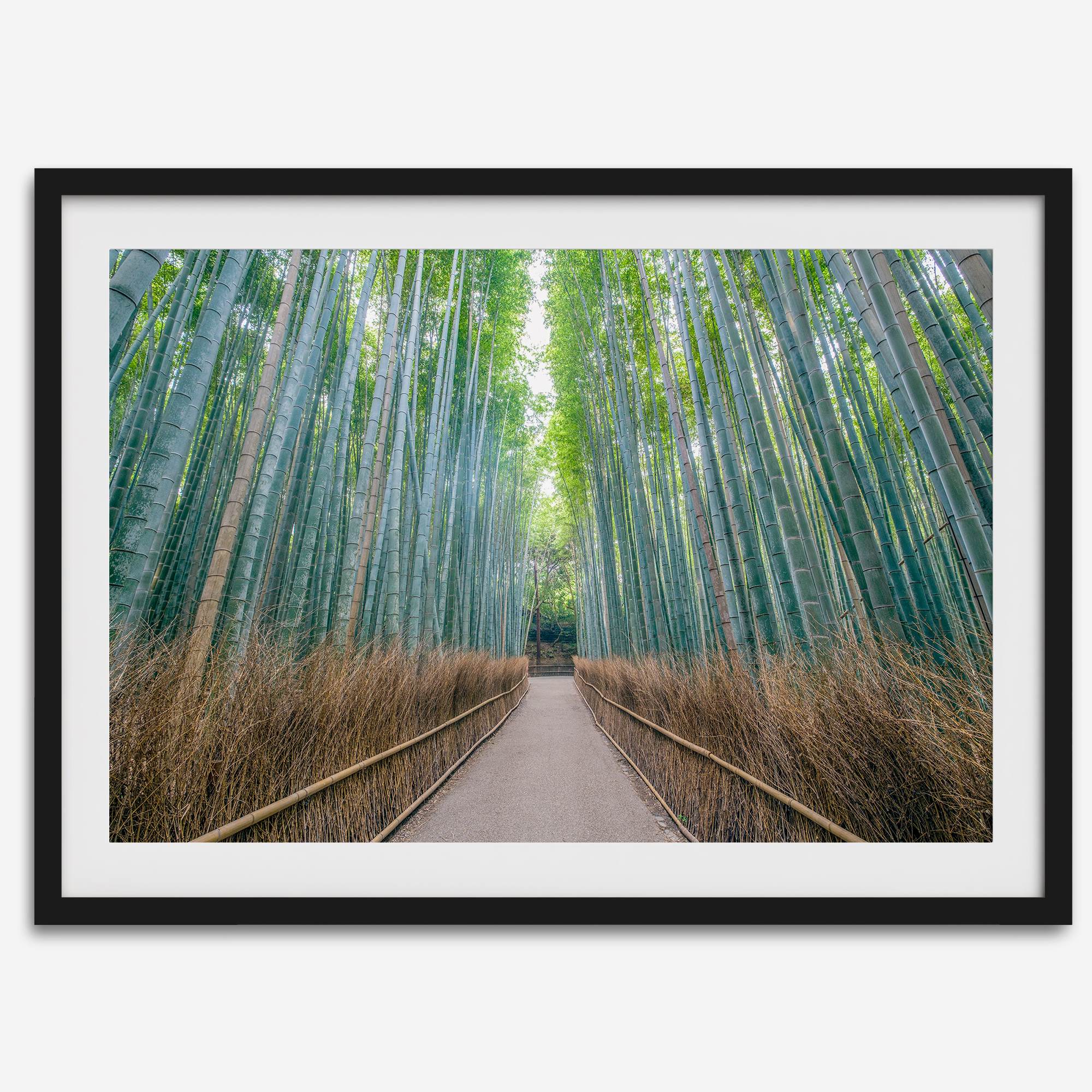 Bamboo Forest Photo wall art featuring misty path in Kyoto’s Arashiyama grove