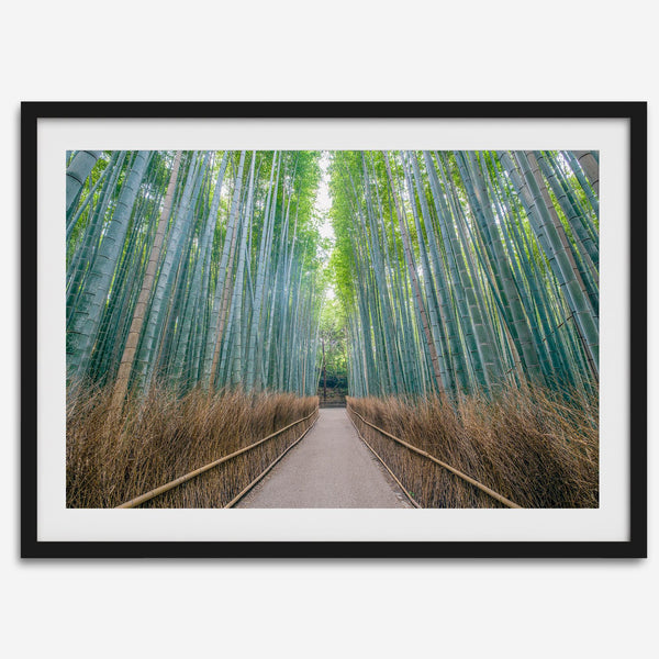 Bamboo Forest Photo wall art featuring misty path in Kyoto’s Arashiyama grove