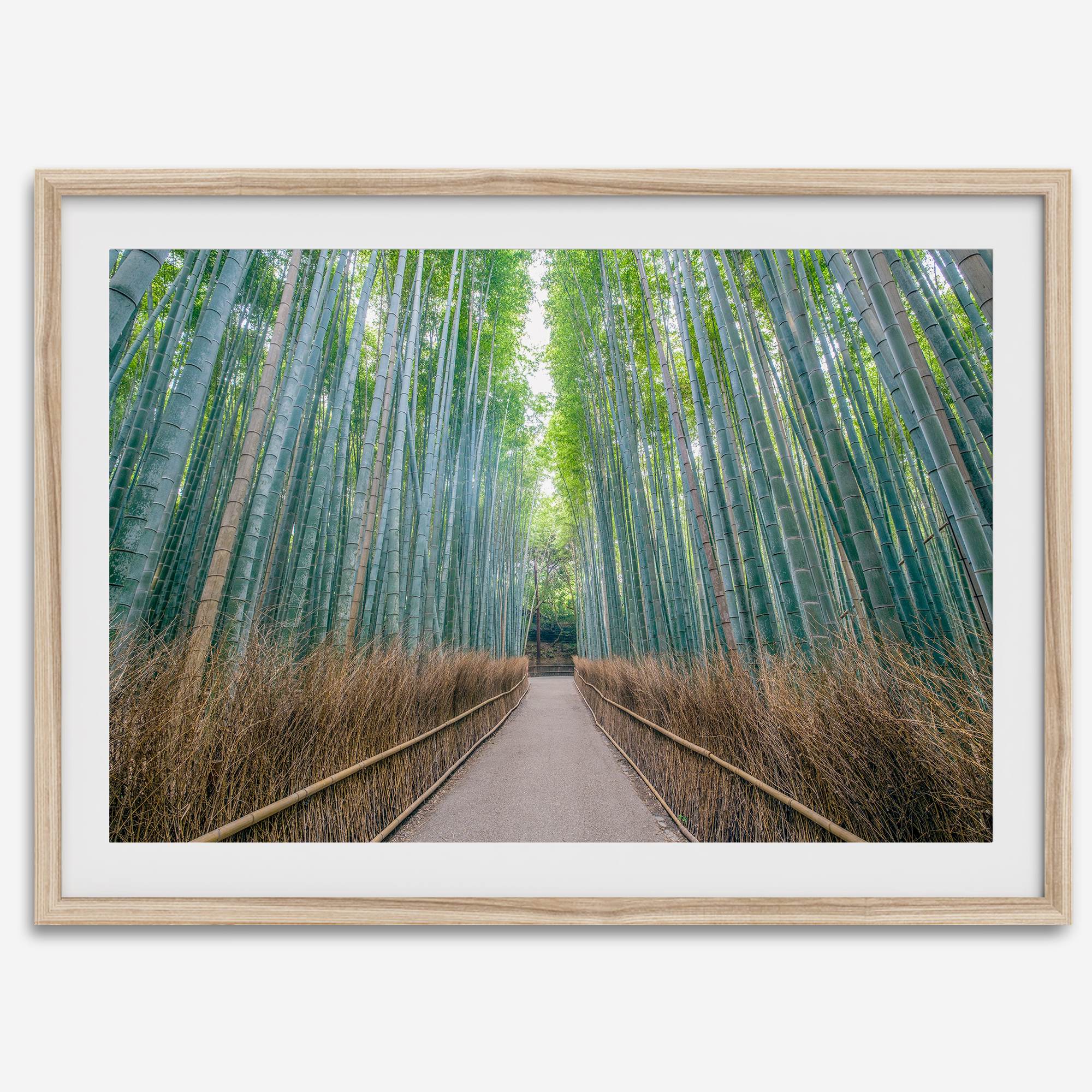 Bamboo Forest Photo wall art featuring misty path in Kyoto’s Arashiyama grove