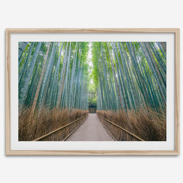Bamboo Forest Photo wall art featuring misty path in Kyoto’s Arashiyama grove