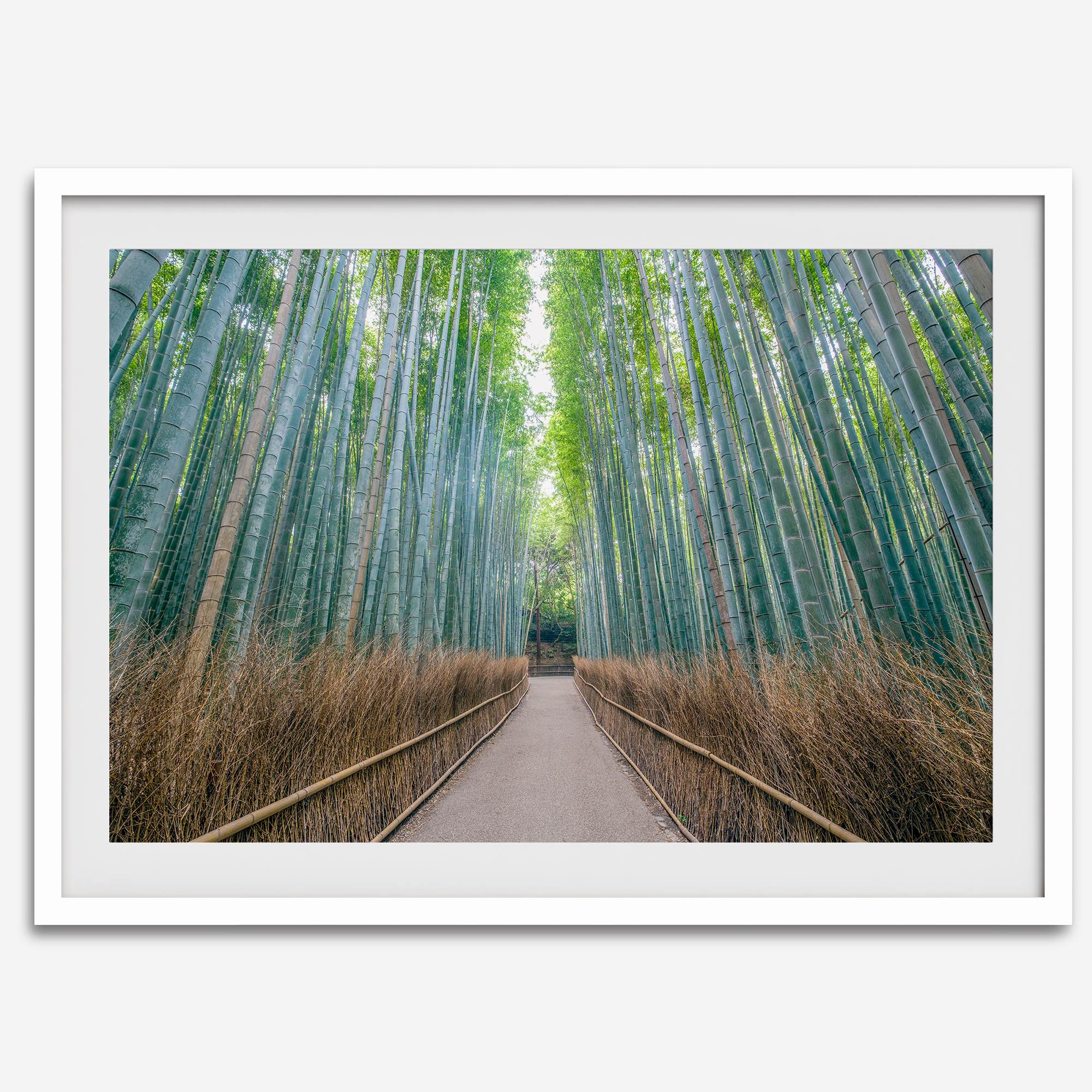 Bamboo Forest Photo wall art featuring misty path in Kyoto’s Arashiyama grove