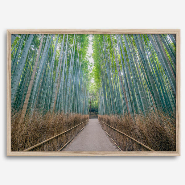 Bamboo Forest Photo wall art featuring misty path in Kyoto’s Arashiyama grove