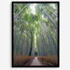Vertical bamboo forest photograph from Arashiyama, tranquil path and glowing greens, premium bamboo wall art