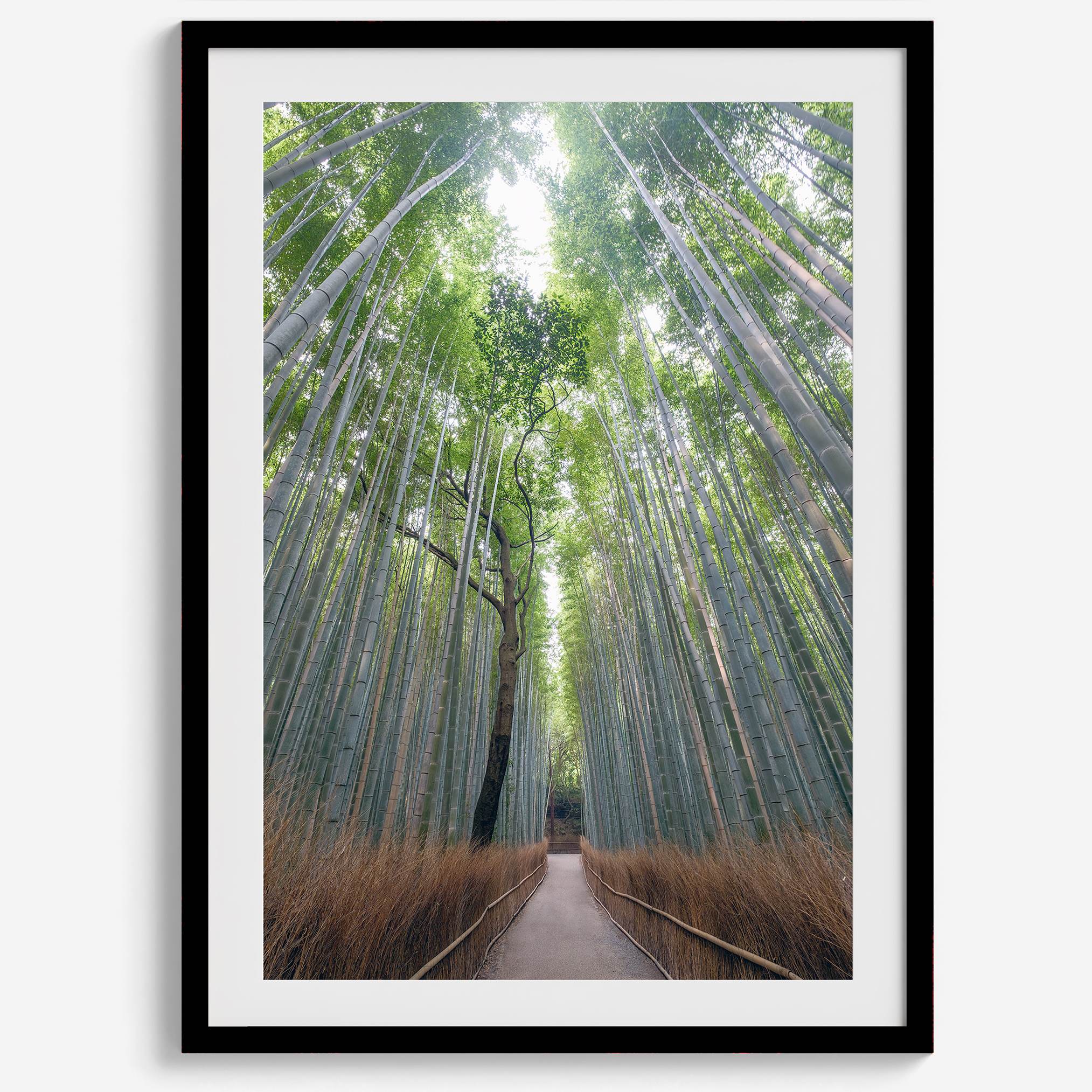 Vertical bamboo forest photograph from Arashiyama, tranquil path and glowing greens, premium bamboo wall art