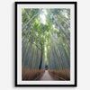 Vertical bamboo forest photograph from Arashiyama, tranquil path and glowing greens, premium bamboo wall art
