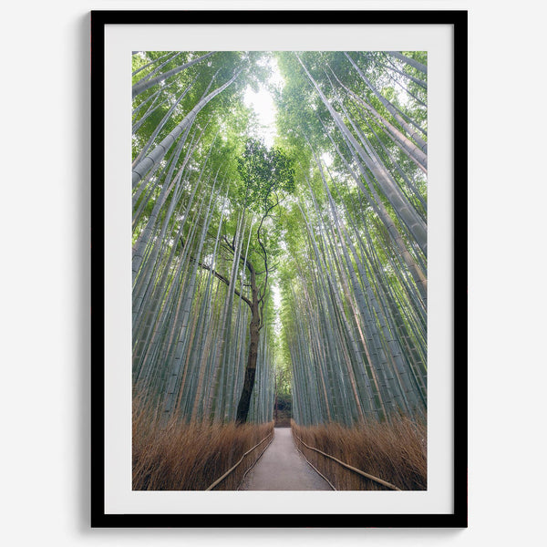 Vertical bamboo forest photograph from Arashiyama, tranquil path and glowing greens, premium bamboo wall art