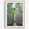 Vertical bamboo forest photograph from Arashiyama, tranquil path and glowing greens, premium bamboo wall art