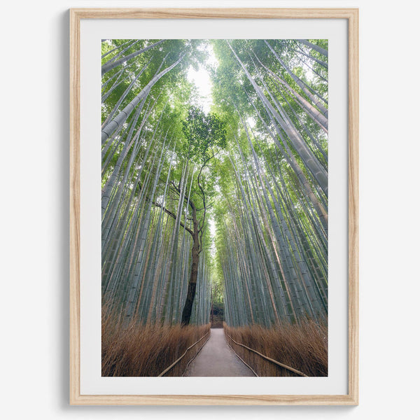 Vertical bamboo forest photograph from Arashiyama, tranquil path and glowing greens, premium bamboo wall art