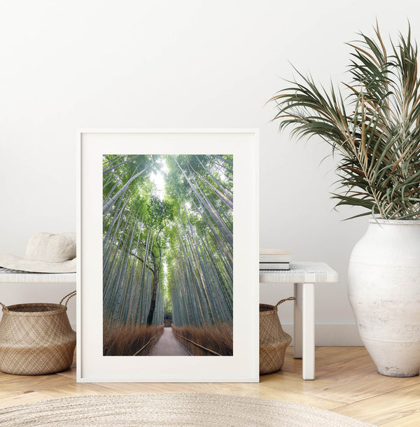 Vertical bamboo forest photograph from Arashiyama, tranquil path and glowing greens, premium bamboo wall art