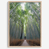 Vertical bamboo forest photograph from Arashiyama, tranquil path and glowing greens, premium bamboo wall art