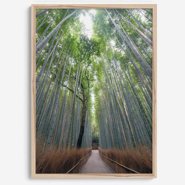 Vertical bamboo forest photograph from Arashiyama, tranquil path and glowing greens, premium bamboo wall art