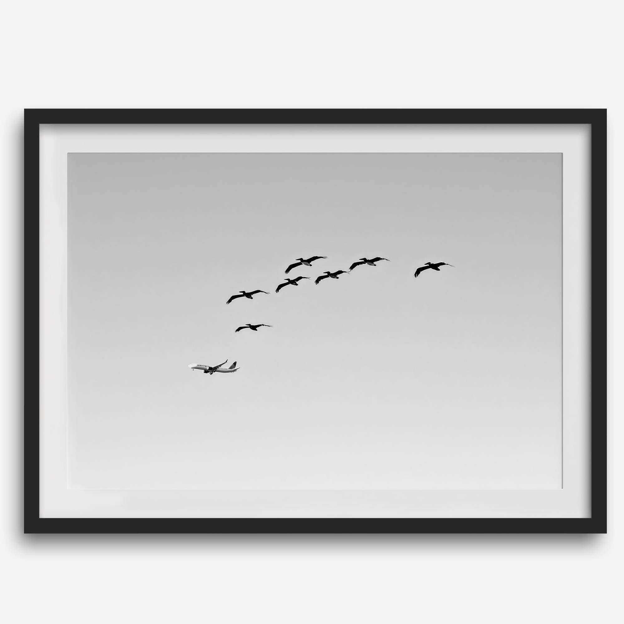 birds in flight wall art with airplane, framed black and white minimalist photography print on white wall.