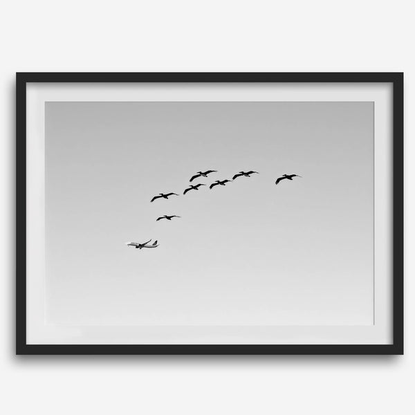 birds in flight wall art with airplane, framed black and white minimalist photography print on white wall.