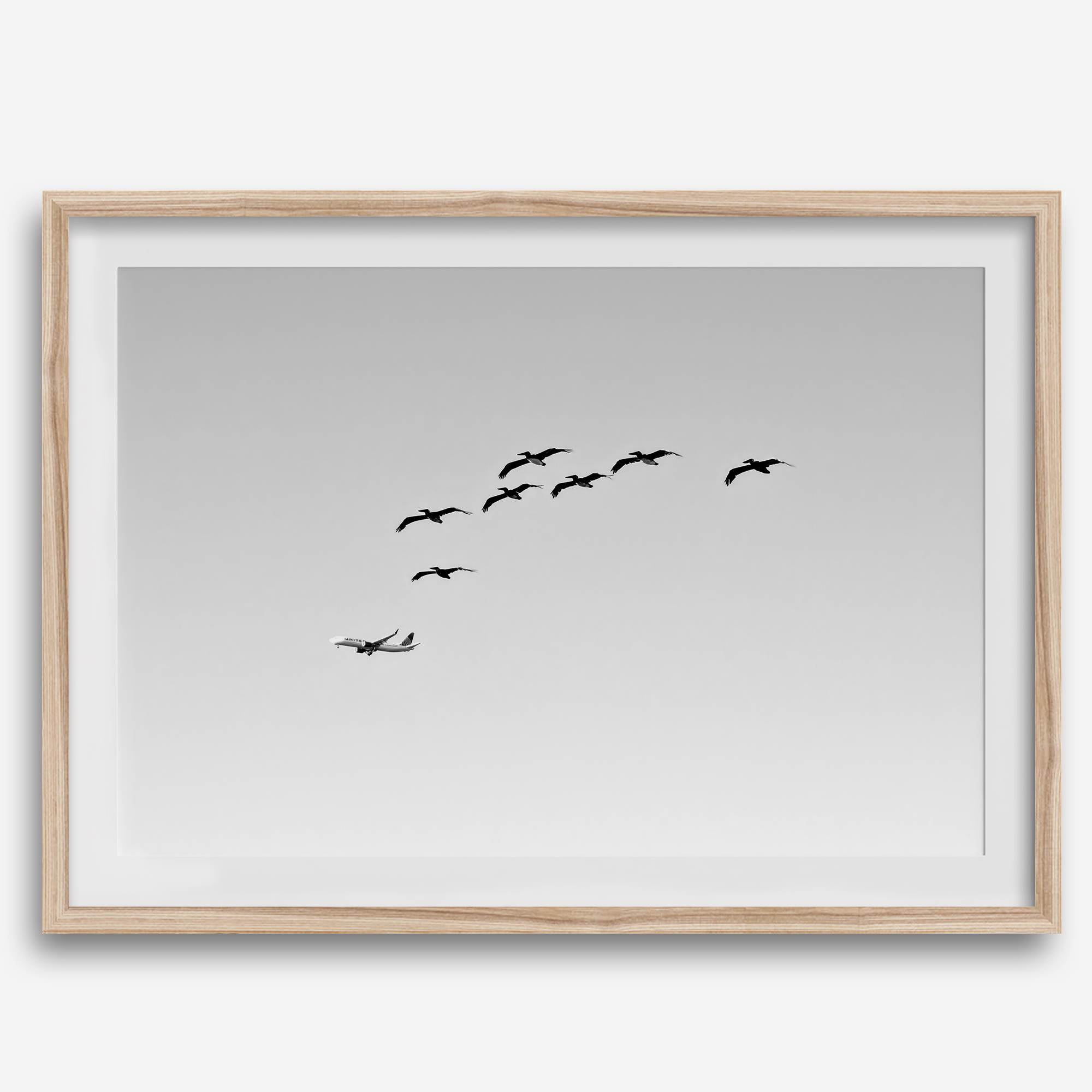 birds in flight wall art with airplane, framed black and white minimalist photography print on white wall.