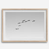 birds in flight wall art with airplane, framed black and white minimalist photography print on white wall.