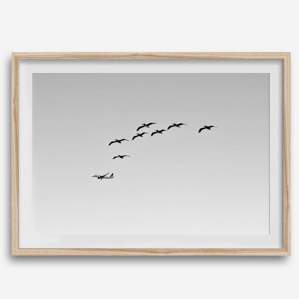 birds in flight wall art with airplane, framed black and white minimalist photography print on white wall.