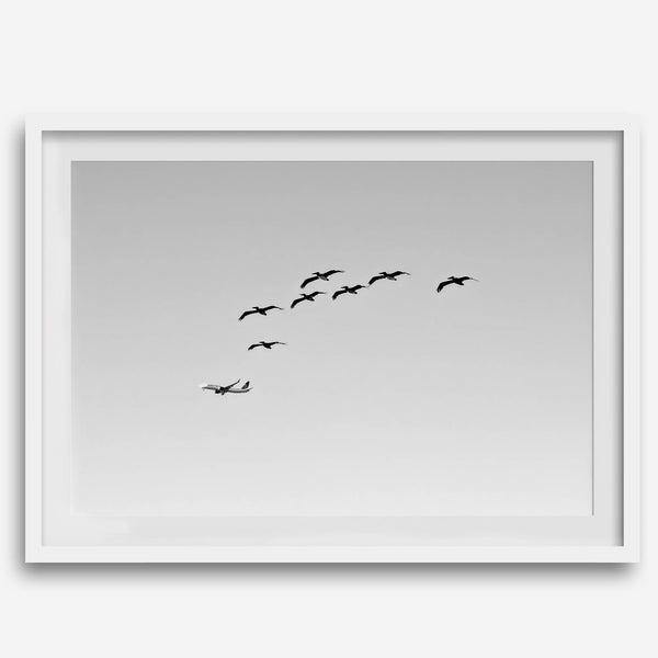 birds in flight wall art with airplane, framed black and white minimalist photography print on white wall.
