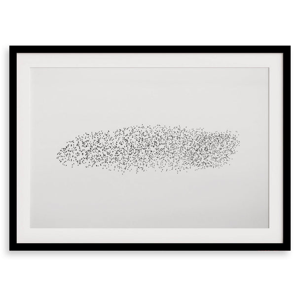 Black and white nature photography landscape of a starling murmuration in flight.