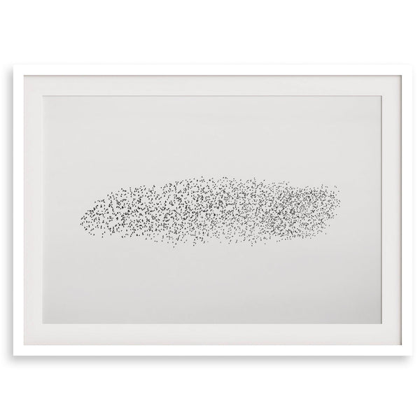 Black and white nature photography landscape of a starling murmuration in flight.