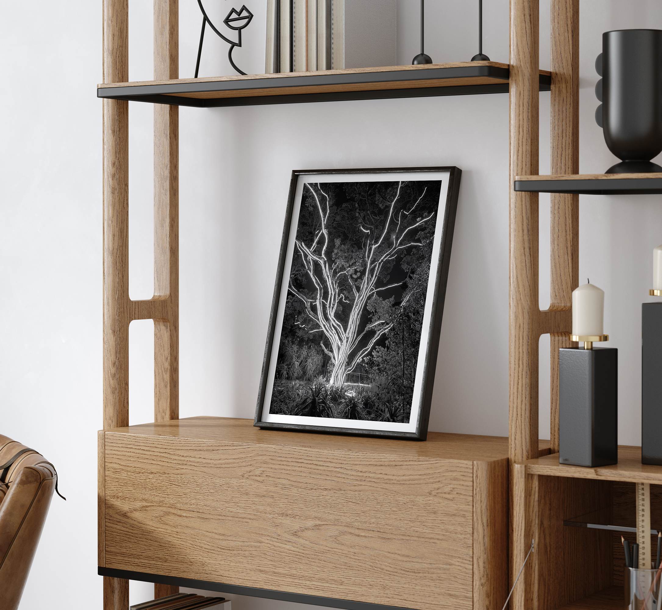 Black and white tree print, glowing night photography botanical wall art from botanical gardens in San Francisco