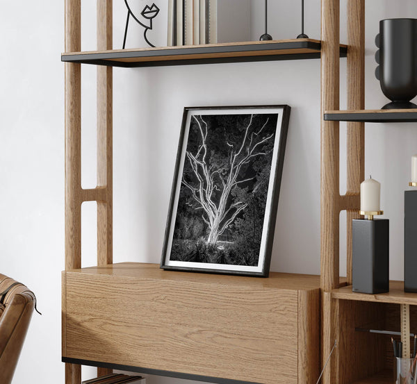 Black and white tree print, glowing night photography botanical wall art from botanical gardens in San Francisco