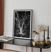 Black and white tree print, glowing night photography botanical wall art from botanical gardens in San Francisco