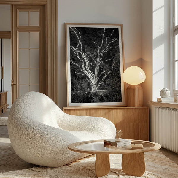 Black and white tree print, glowing night photography botanical wall art from botanical gardens in San Francisco