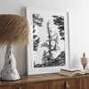 Black and white tree print in Hoover Wilderness with rocky hillside, modern neutral forest wall art photography.​