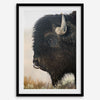 Fine art buffalo print from Yellowstone, showcasing earthy tones and western-inspired composition.