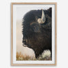 Fine art buffalo print from Yellowstone, showcasing earthy tones and western-inspired composition.